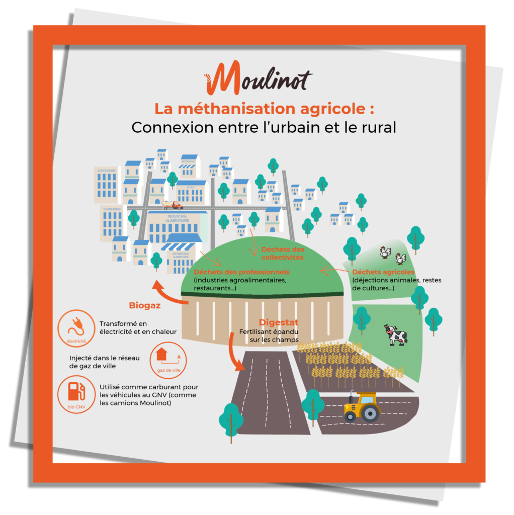 Moulinot collecte les biodéchets et les déchets alimentaires des collectivités et des professionnels (industries agroalimentaires, cantines, restaurants...) en Ile de France et à Paris. Ceux ci sont mélangés avec des déchets agricoles dans un méthaniseurs. Le méthanisation permet de créer du biogaz, injecté dans le réseau de gaz de ville ou utilisé comme carburant pour les véhicules fonctionnant au bioGNV. La matière restante, appelée digestat est utilisée comme fertilisant et épandu sur les champs. Economie circulaire