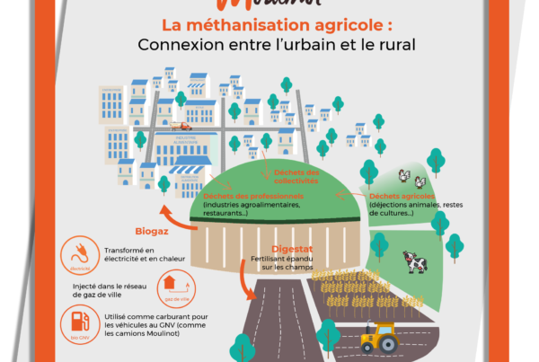 Moulinot collecte les biodéchets et les déchets alimentaires des collectivités et des professionnels (industries agroalimentaires, cantines, restaurants...) en Ile de France et à Paris. Ceux ci sont mélangés avec des déchets agricoles dans un méthaniseurs. Le méthanisation permet de créer du biogaz, injecté dans le réseau de gaz de ville ou utilisé comme carburant pour les véhicules fonctionnant au bioGNV. La matière restante, appelée digestat est utilisée comme fertilisant et épandu sur les champs. Economie circulaire