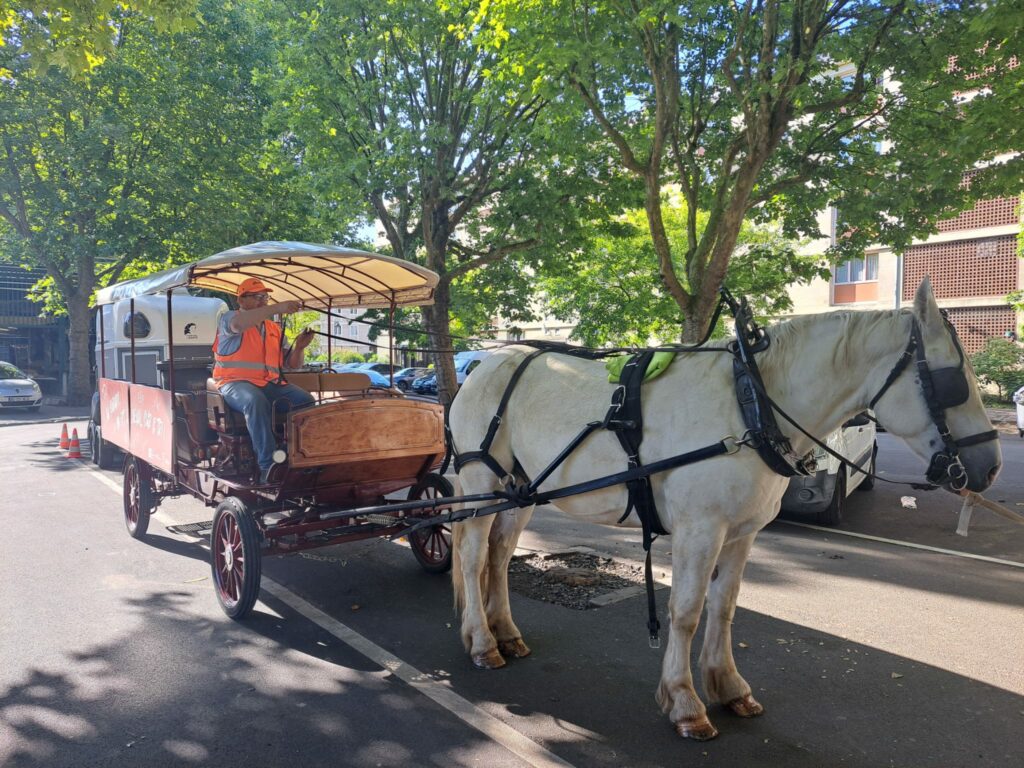 Collecte hippomobile Moulinot