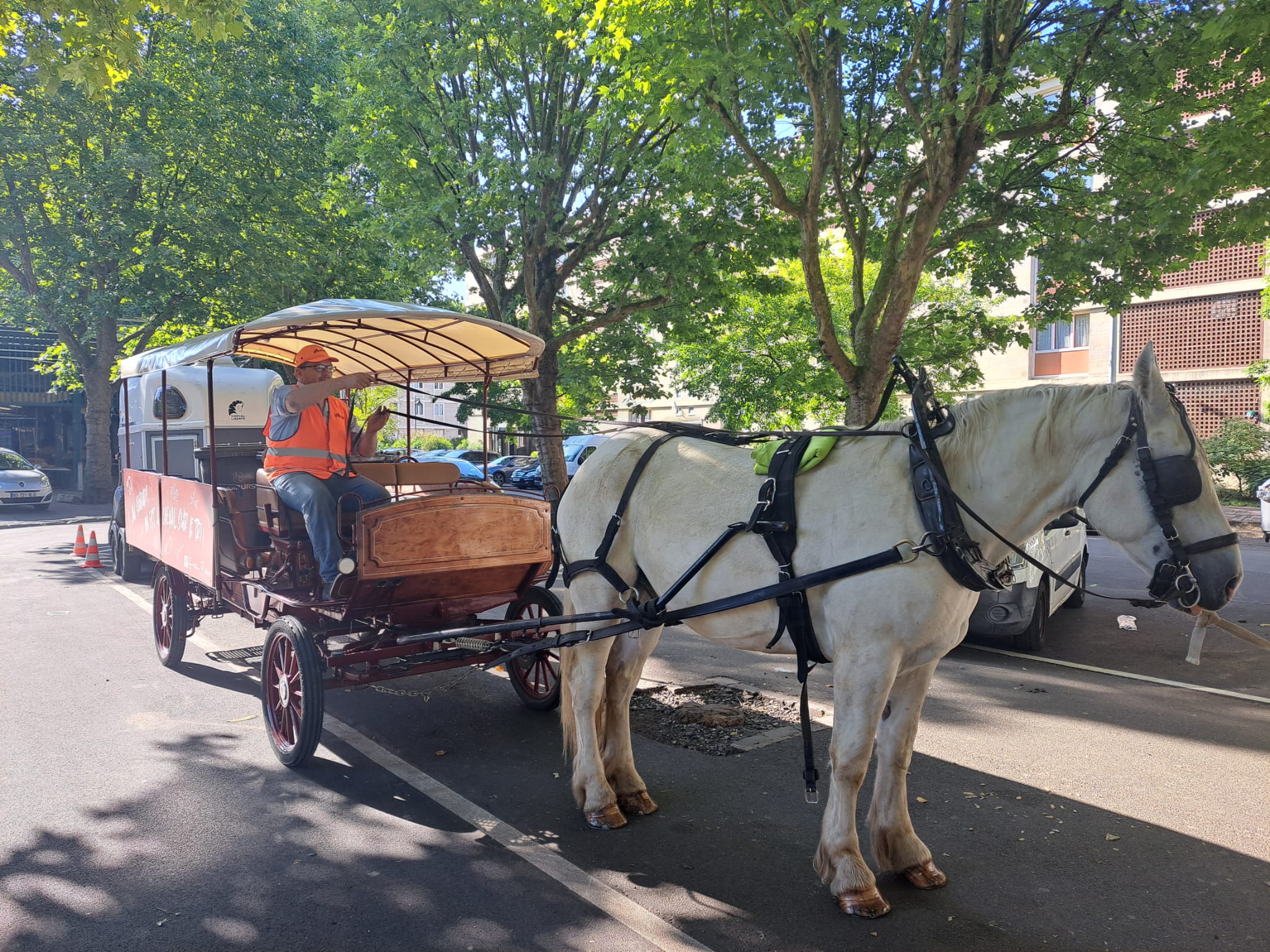 Collecte hippomobile Moulinot