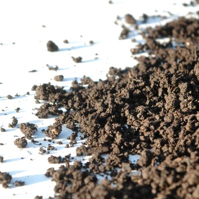 Lombricompost-3-1 compost